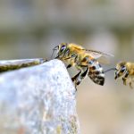 揭秘黑料吃瓜网榜单:那些让人瞩目的热门事件 39kr6