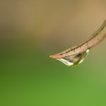 最后一次初恋漫画:青春的遗憾与重逢的希望 z0c4hsud9